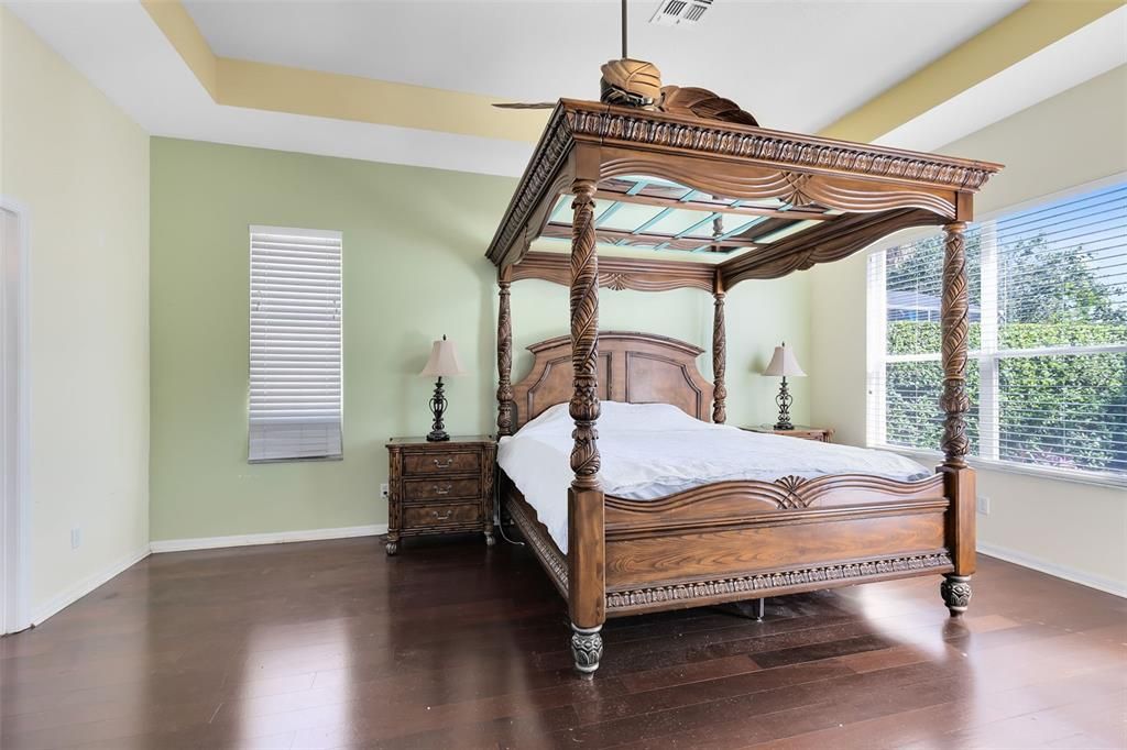 Huge Master Bedroom also overlooking the pool & MORE TRAY CEILINGS