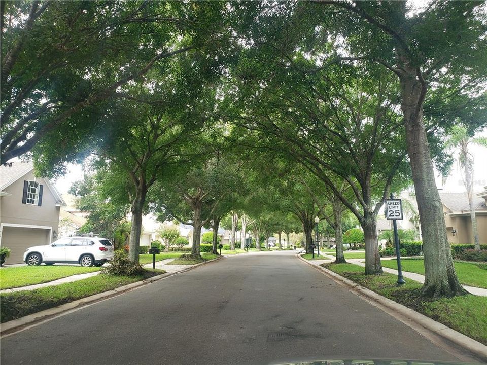 Drive home under the canopy of towering oaks, you won't regret it!