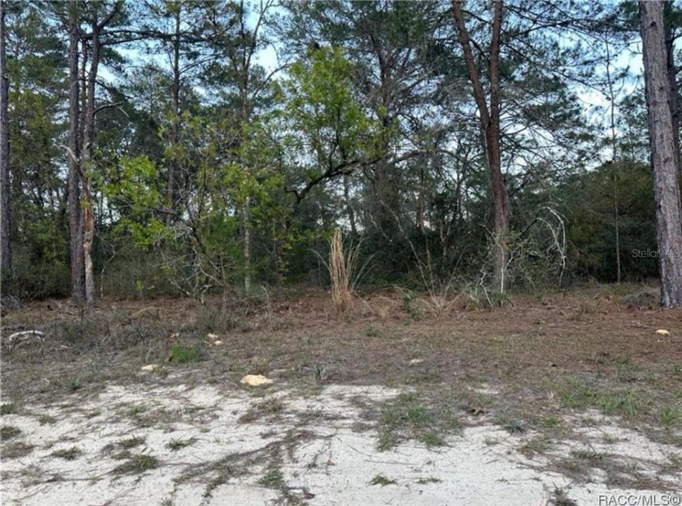 En Venta: $12,000 (0.23 acres)