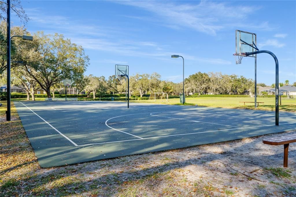 Lighted Courts