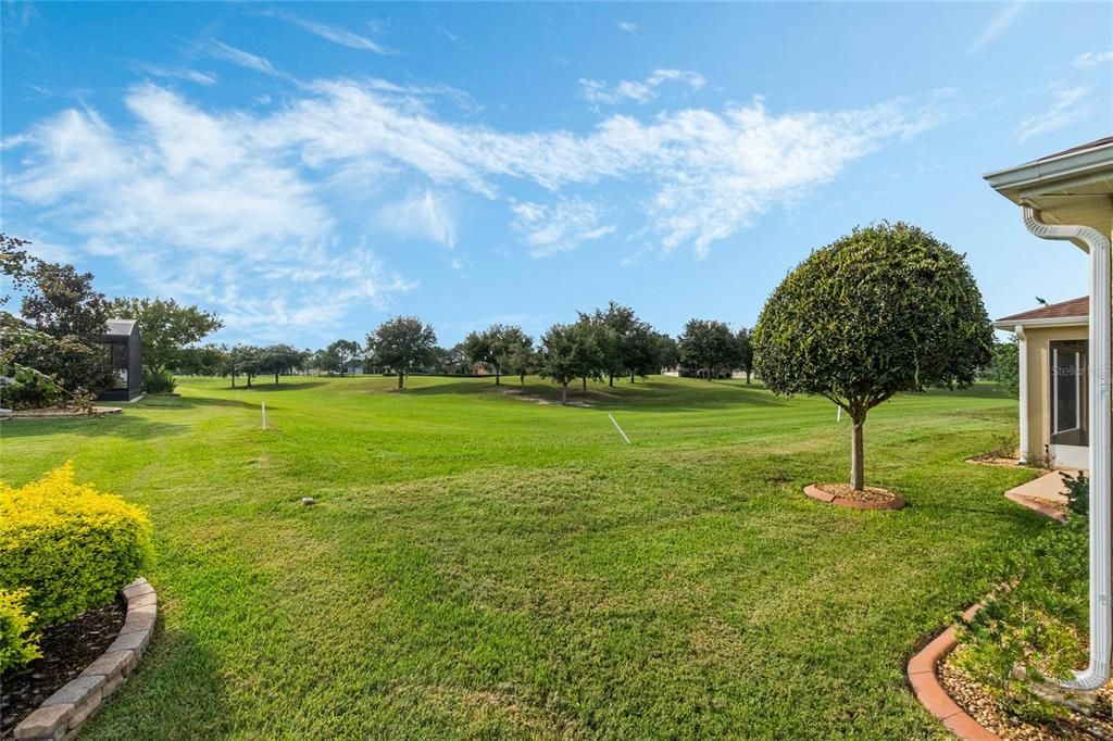 Fairway- to right in the green