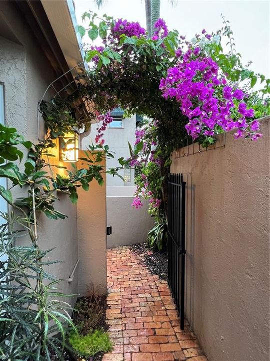 Gate leading out of property