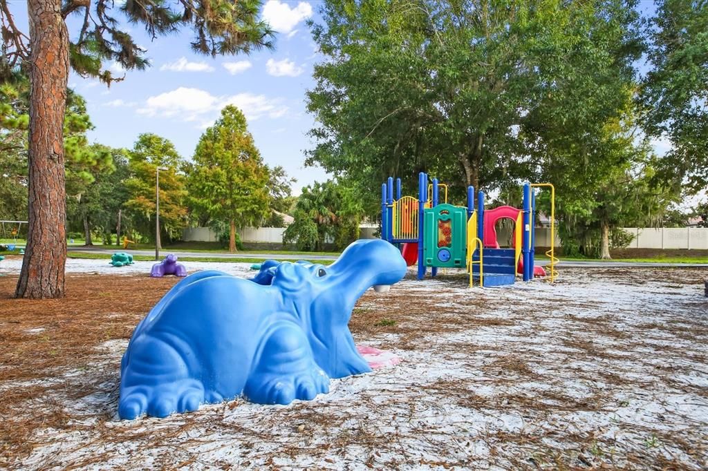 Longwood Park Playground