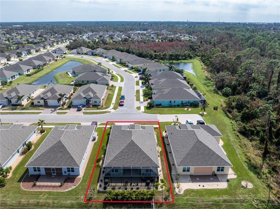 Aerial of the neighborhood