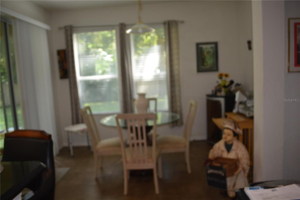 Dining area off the Kitchen