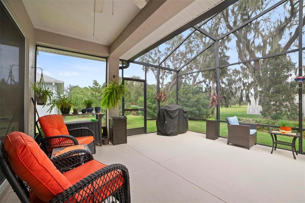 Screened Patio