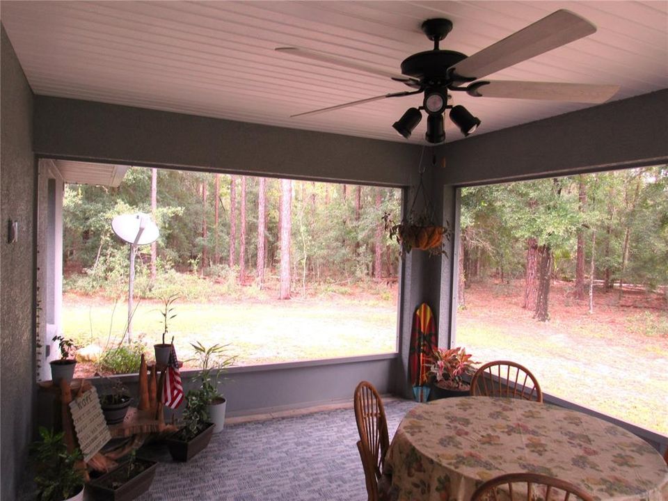 12 x 16 Screen Enclosed Lanai With Forest Park-Like Natural Surround.