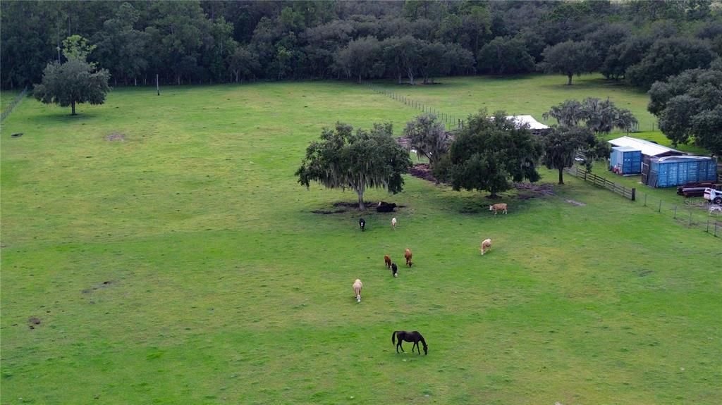 На продажу: $135,000 (5.01 acres)