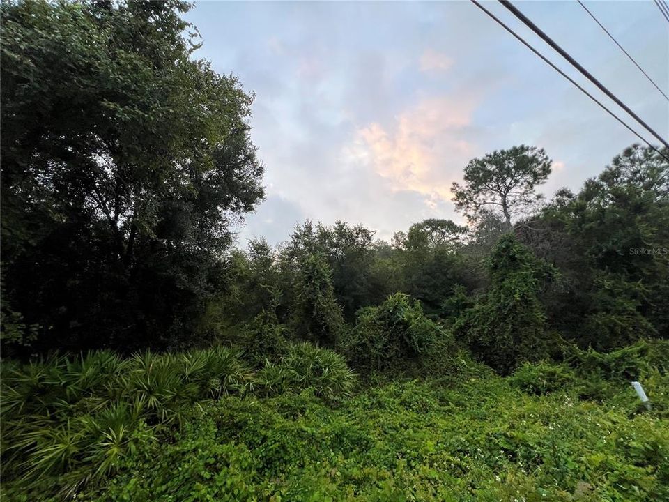 En Venta: $49,999 (1.28 acres)