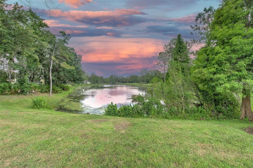 Martin Meadow Lake