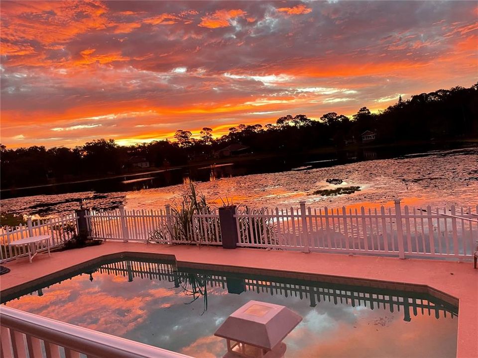 Enjoy Nature's painting by the pool