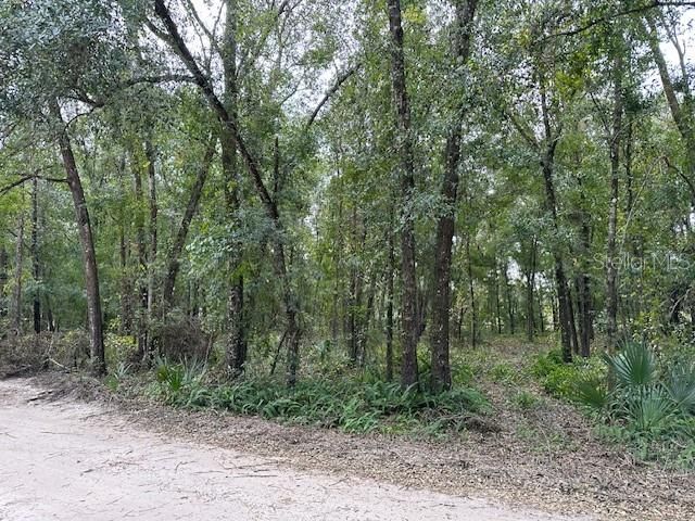 En Venta: $230,000 (2.00 acres)