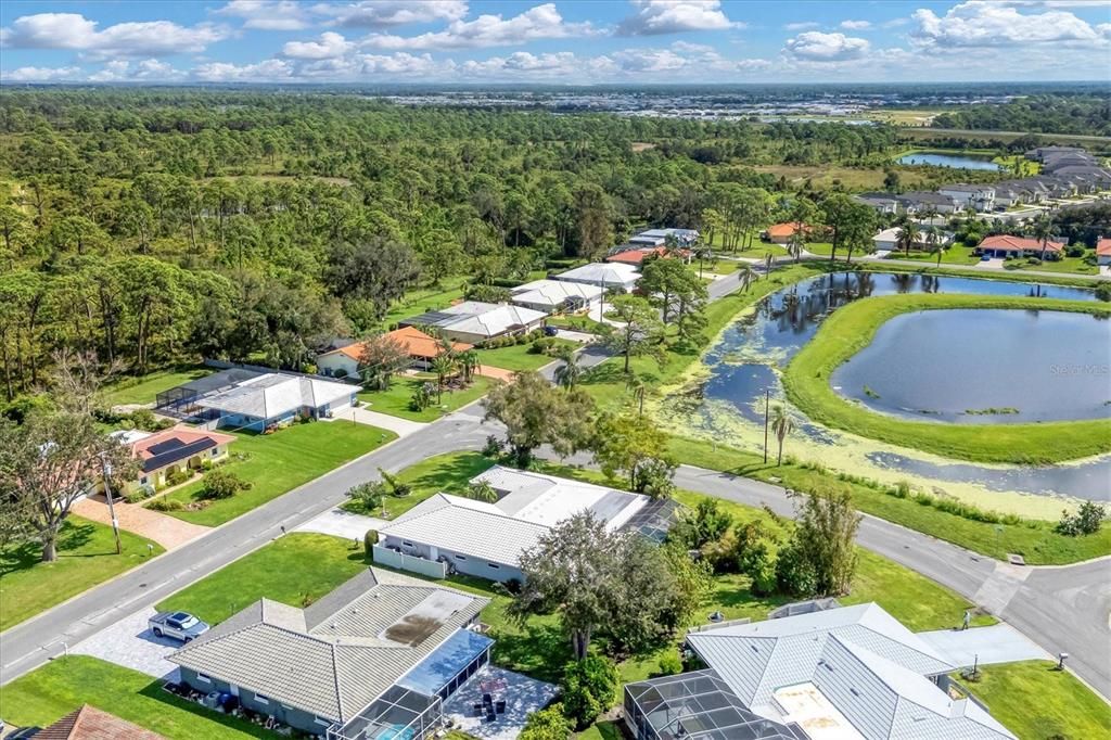 Community lake aerial