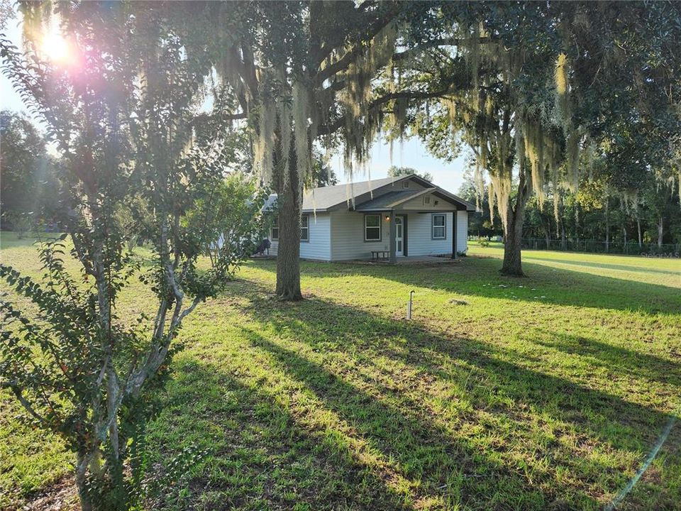 Side Porch Entry and side yard