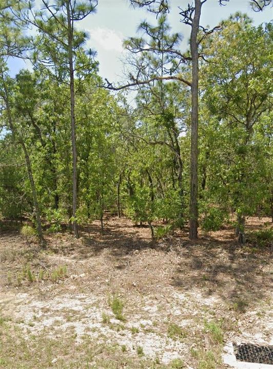 For Sale: $24,000 (0.23 acres)