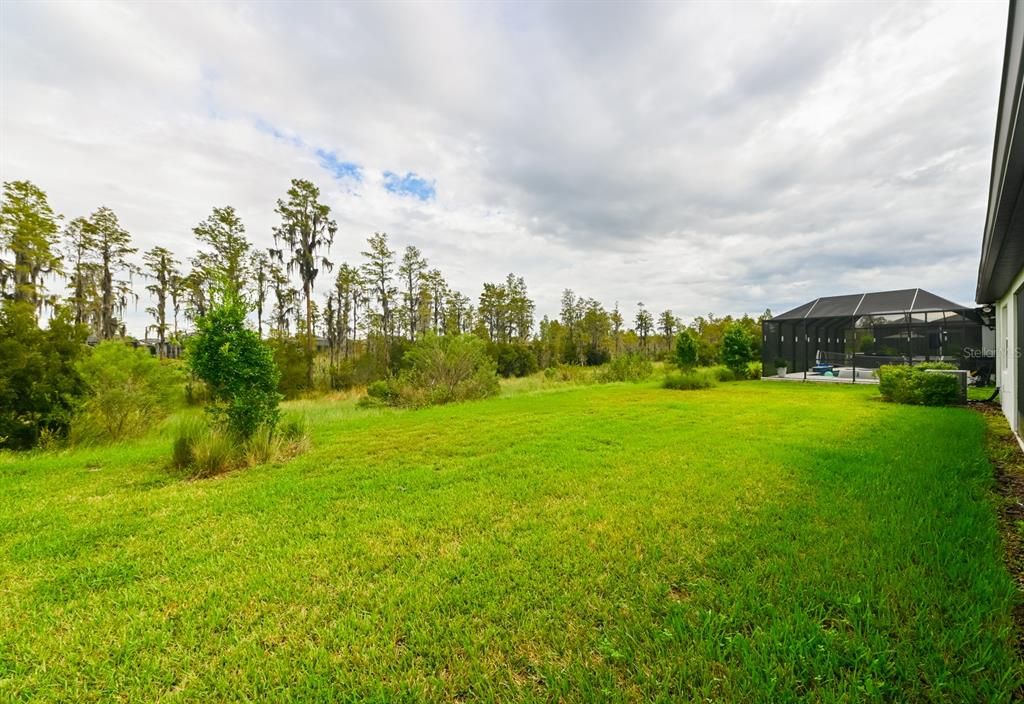 Home backs up to a conservation area.