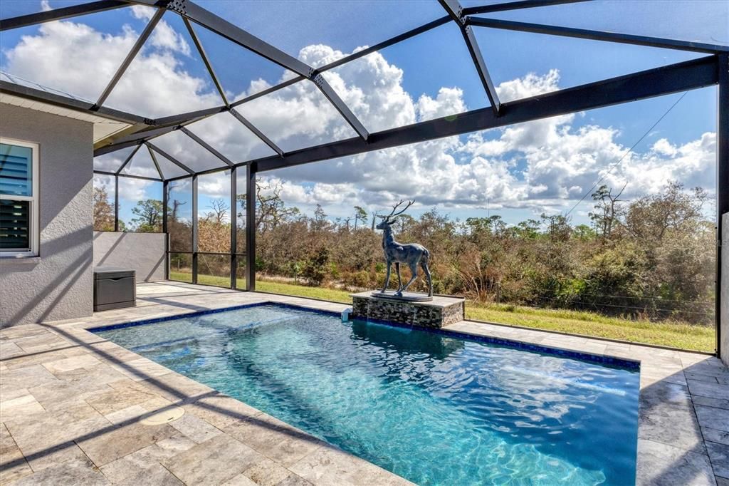 Pool area with extended lanai!