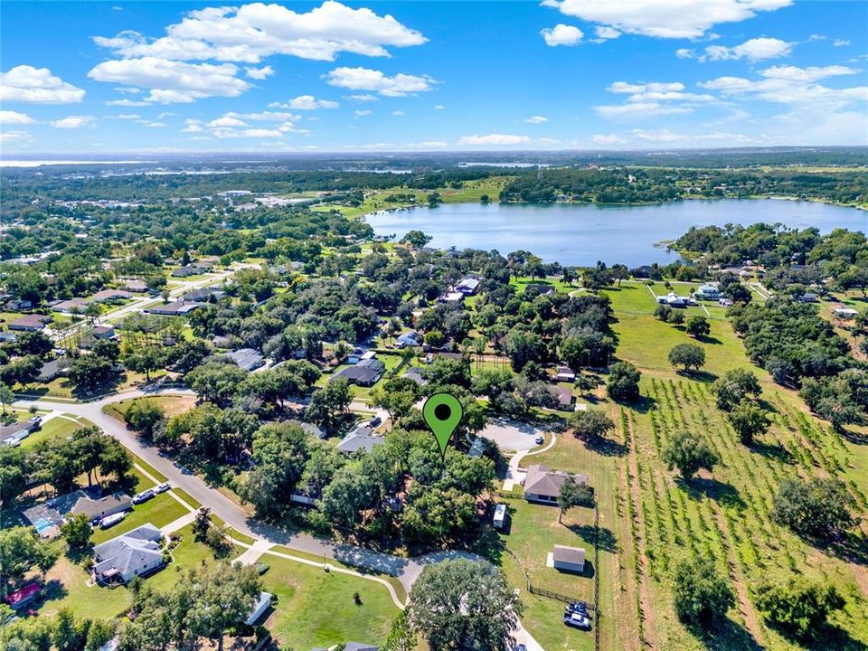 Lake Apopka