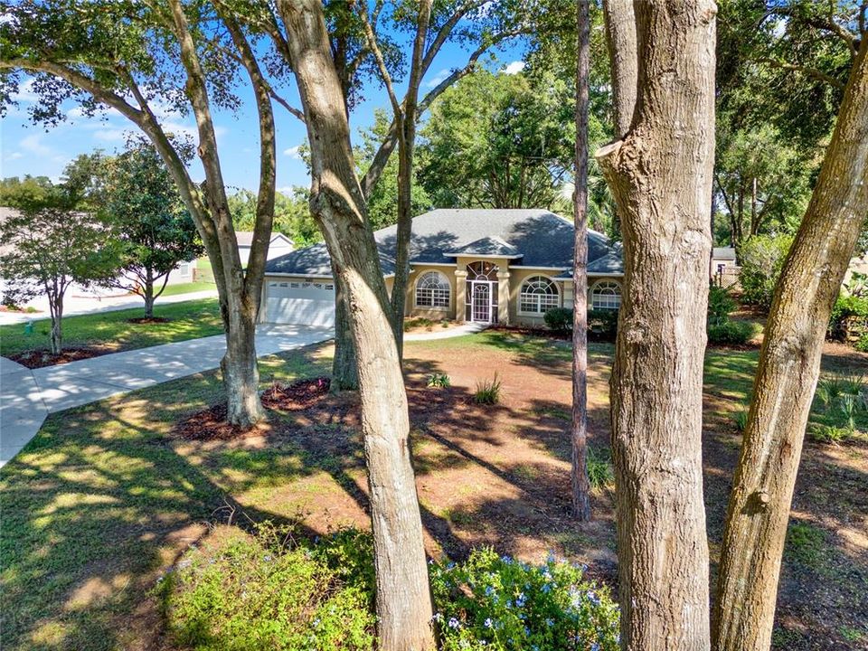 Front Yard and Front Exterior