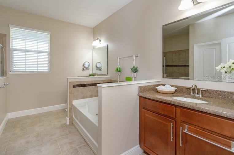 Master Bathroom-Shower & Bathtub