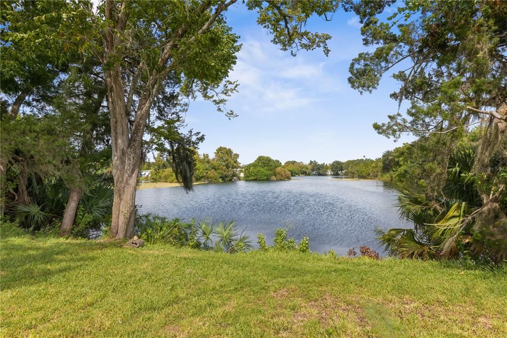 Pond in Backyard