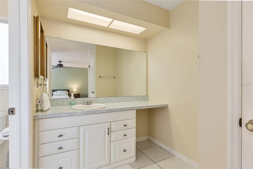 Master bathroom vanity