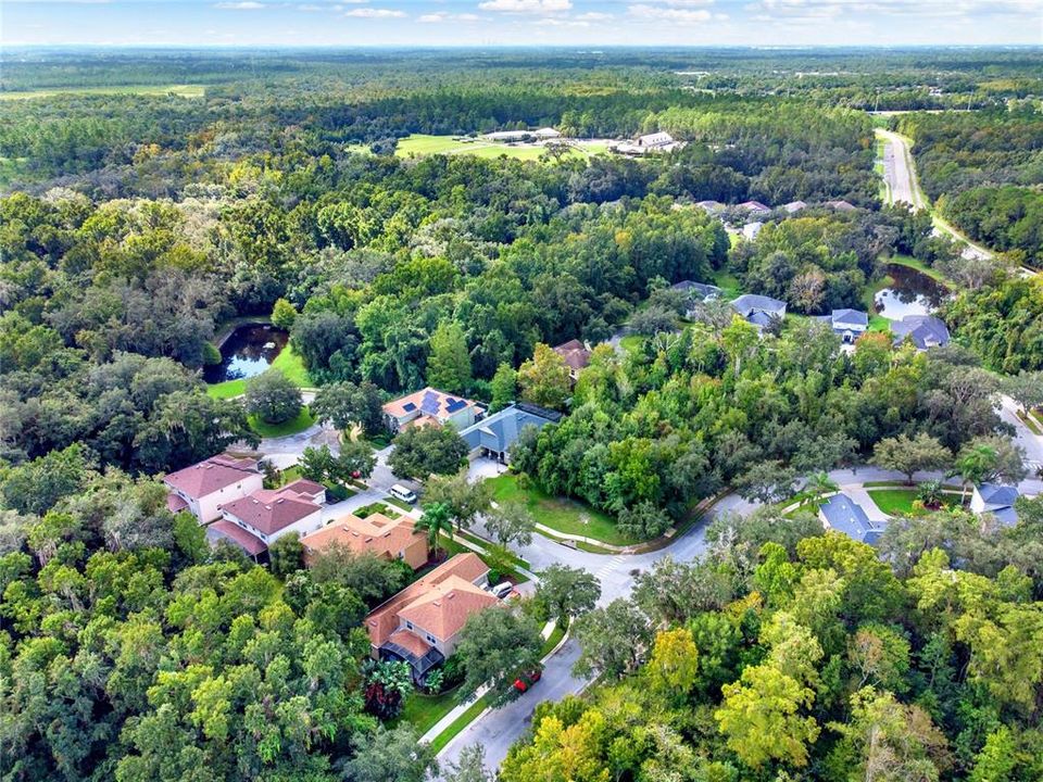 Aerial - Lush Woods all Around