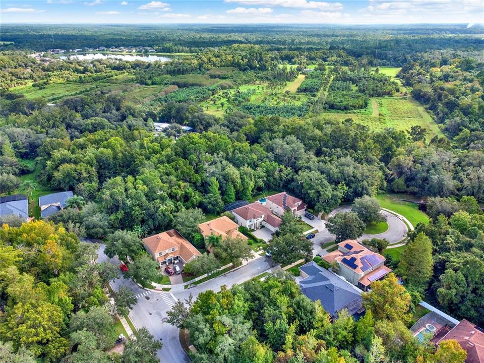 Aerial Showing Cul De Sac