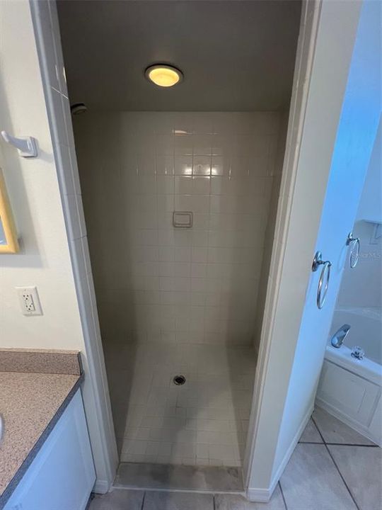 Primary bathroom shower