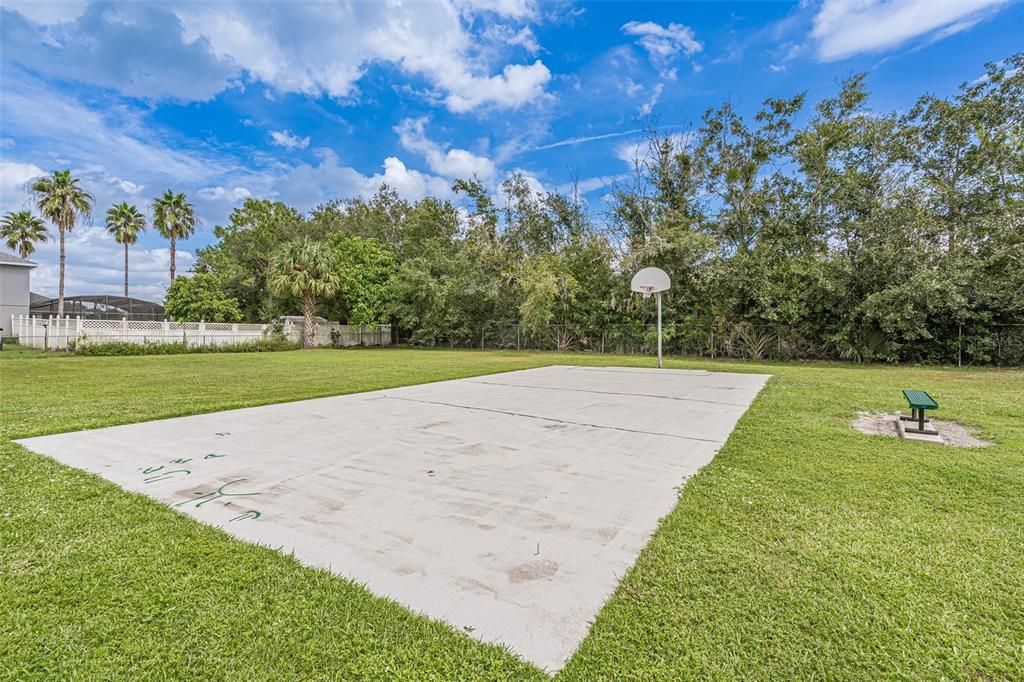 Neighborhood Basketball court