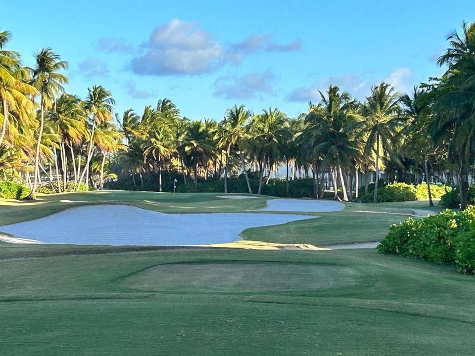 Hole 16 view from tee box.