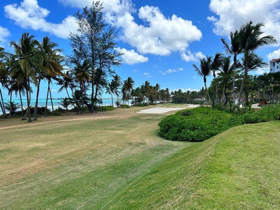 Hole 16 view from tee box.