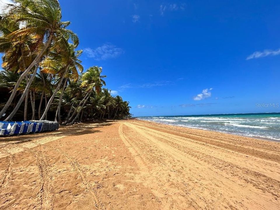 Rio Mar beach right in front of Ocean Sixteen. Constantly maintained.