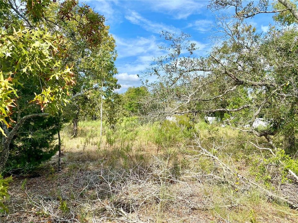 En Venta: $55,000 (0.46 acres)