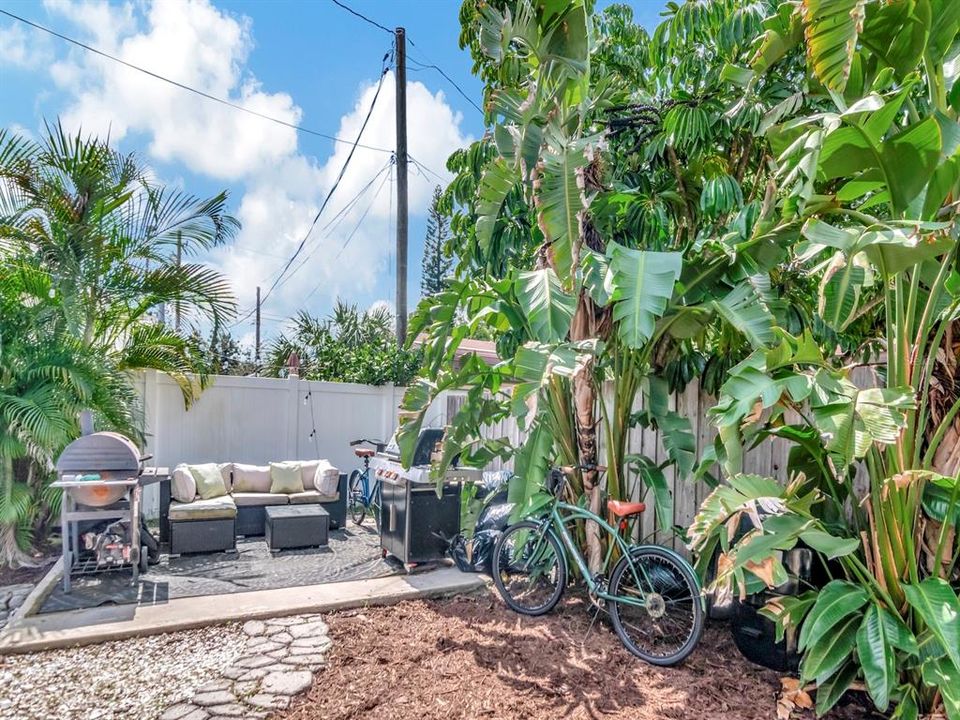 Backyard Lounge and BBQ Area