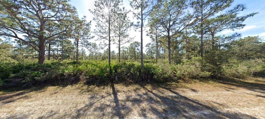 待售: $49,900 (0.50 acres)