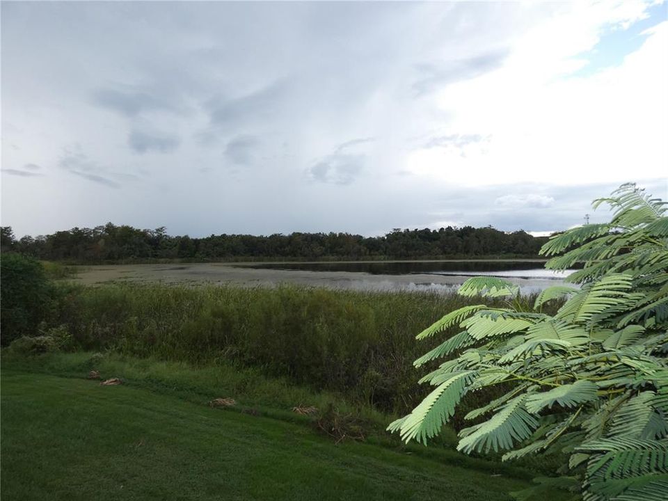 View of Lake Catherine from the Balcony