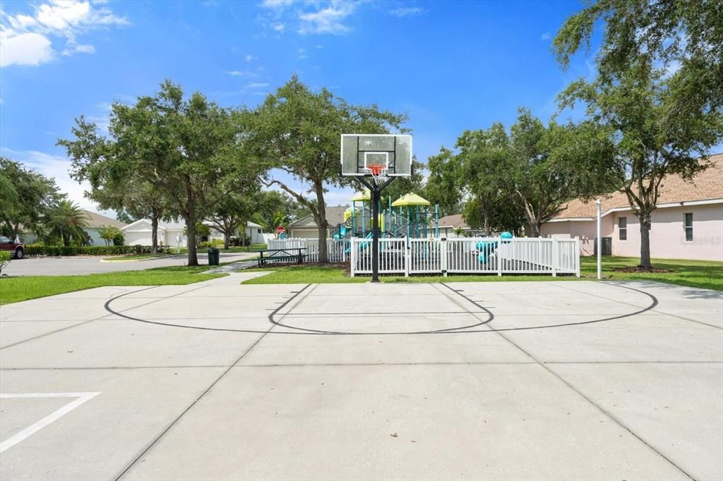 Basketball court