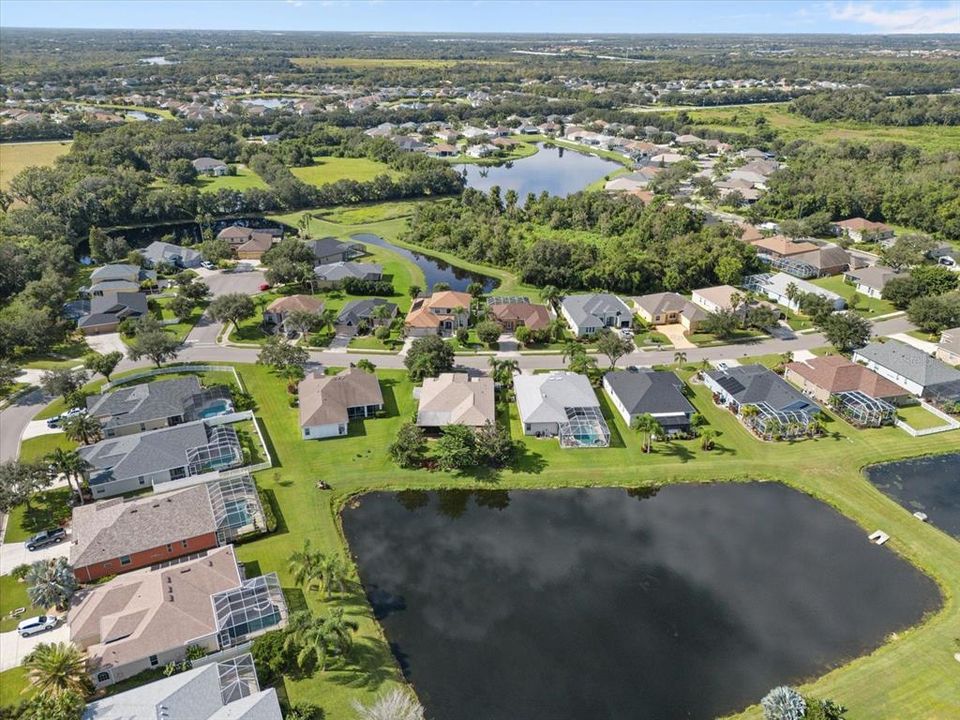 Ariel Pond view