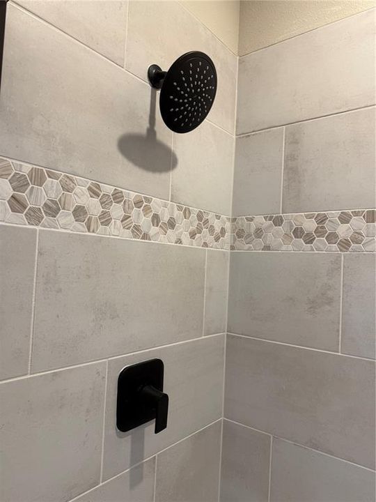 Master shower detail