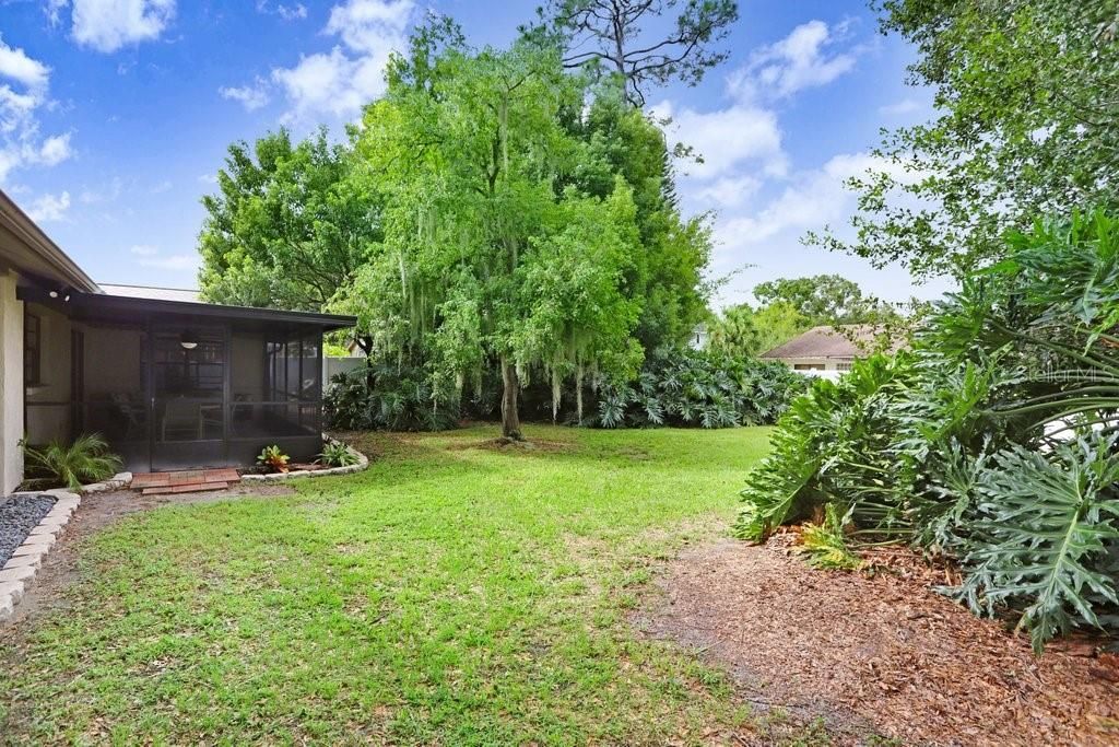 lush and beautiful large backyard