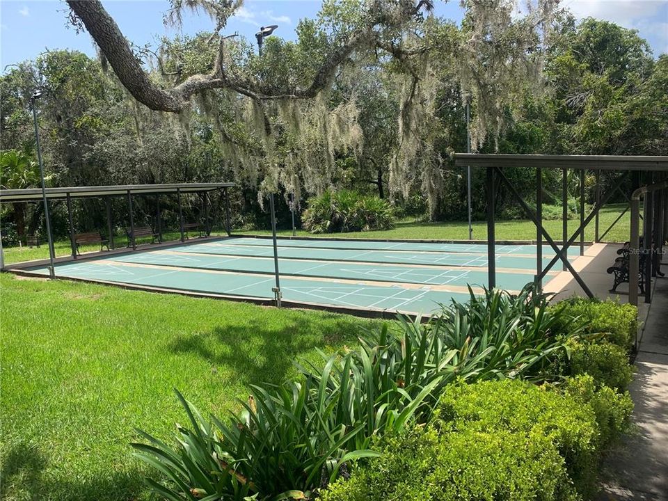 Shuffleboard Courts