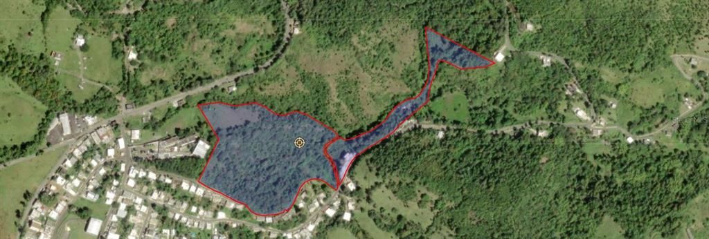 For Sale: $200,000 (13.13 acres)