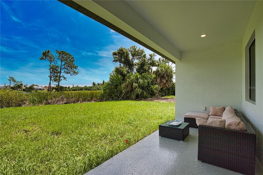 Patio and backyard