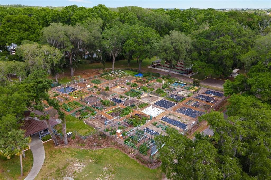 Community Garden