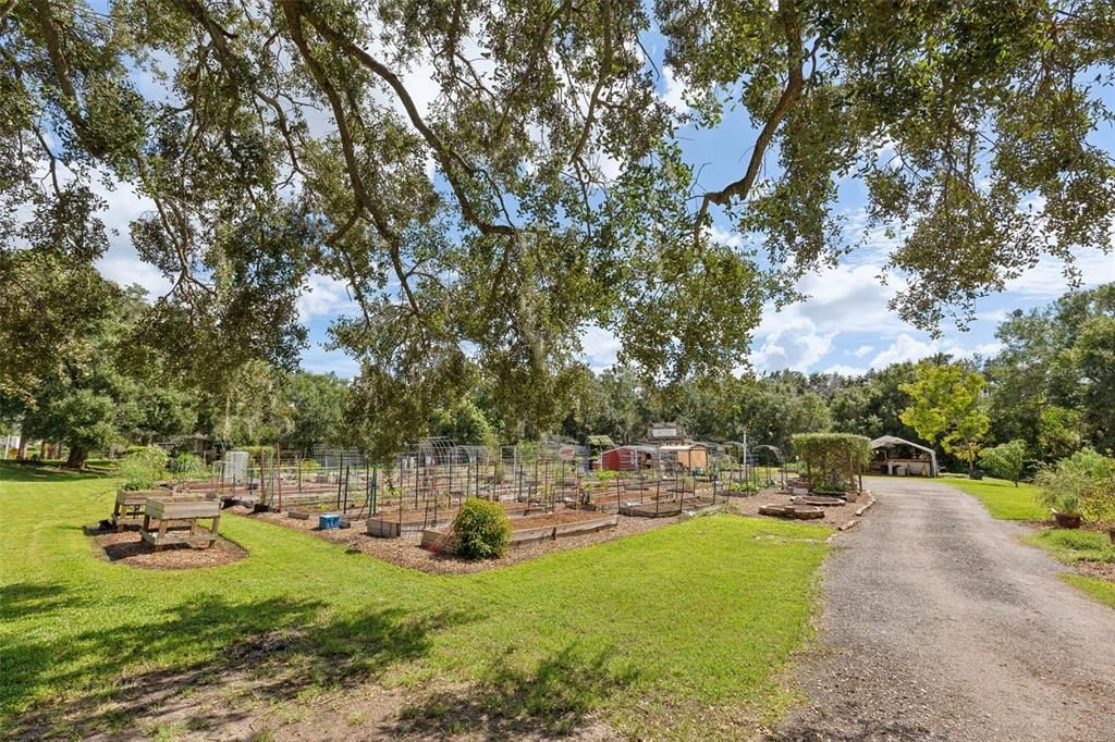 Community Gardens