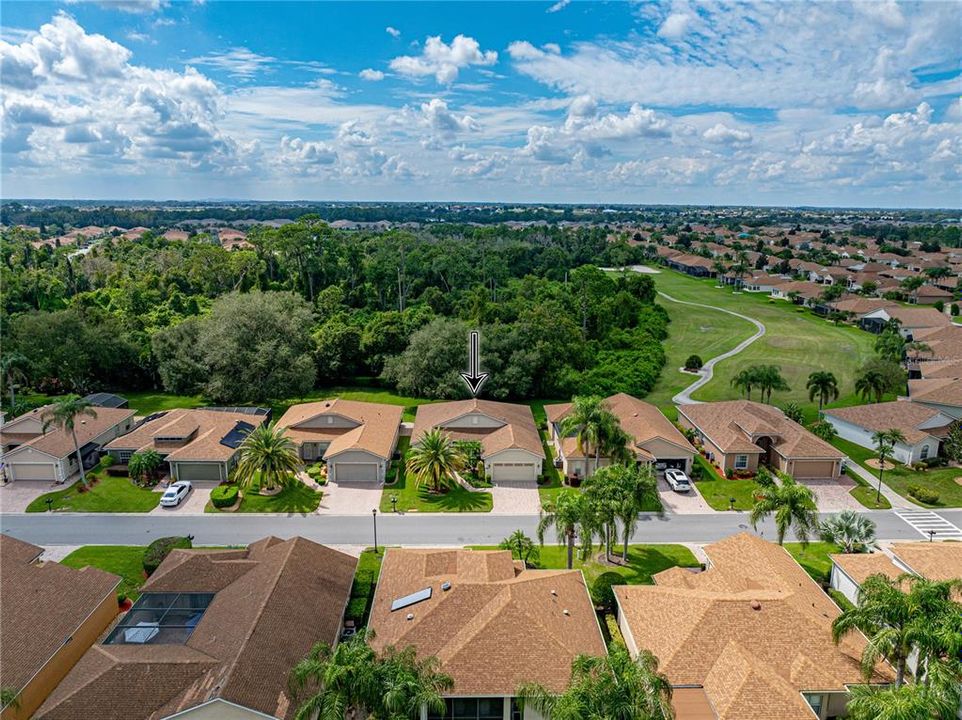 Drone view of neighborhood