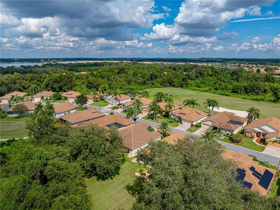 Drone view of neighborhood