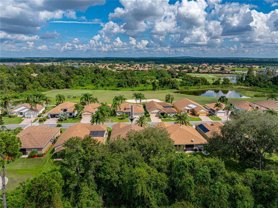 Drone view of neighborhood