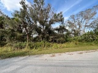 En Venta: $20,000 (0.24 acres)